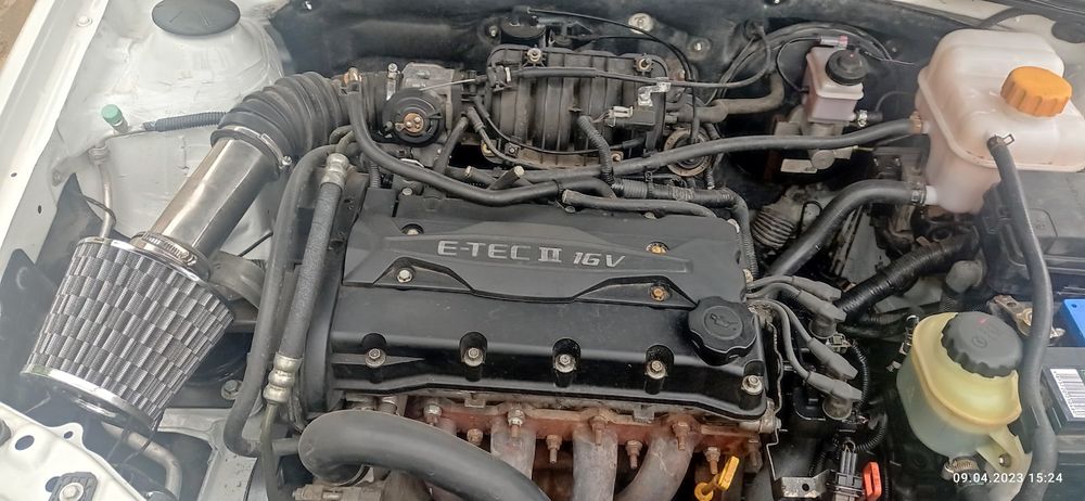 Lasseti sotiladi jentra qilingan