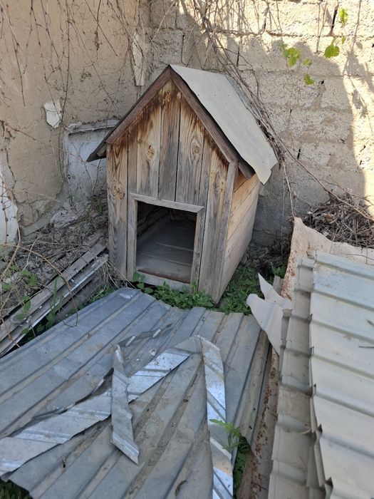 Продаётся бутка для собаки