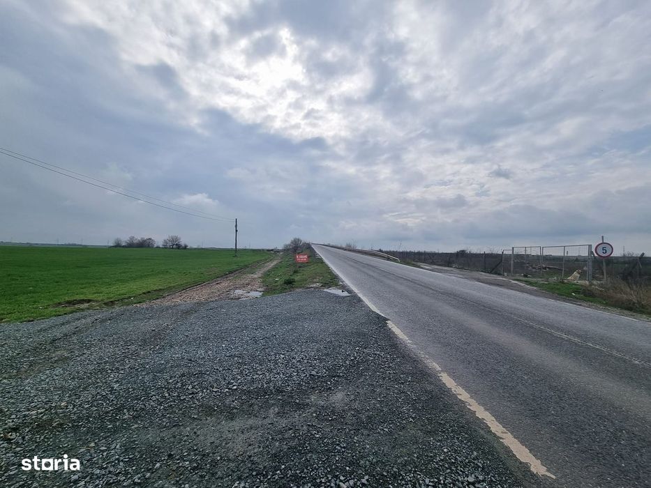 Teren zona hale Ovidiu