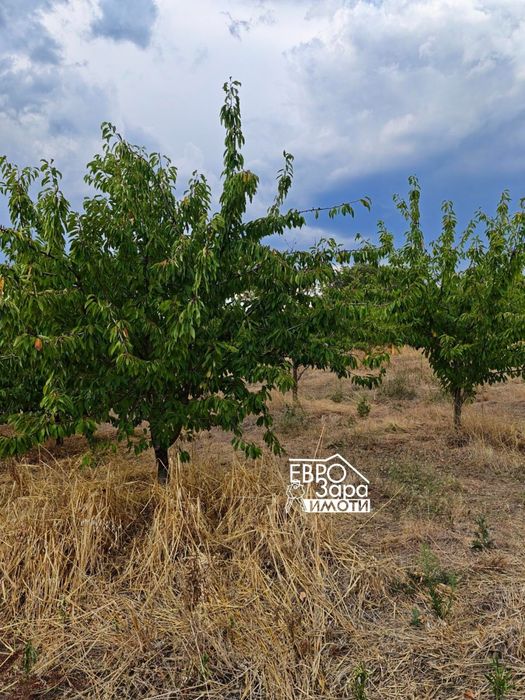 Голям парцел за продажба в село Кирилово