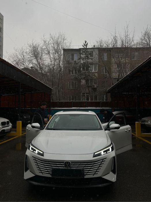 Дверь для Changan eado