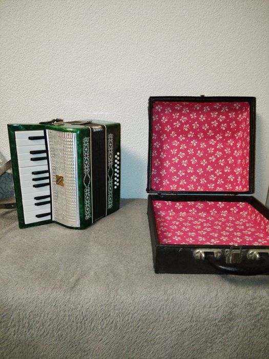 Acordeon Razno copiii