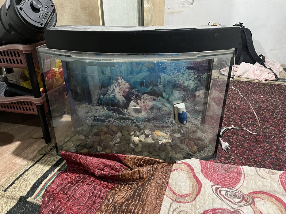 продам аквариум…