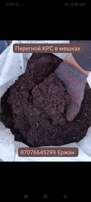 Перегной перегной