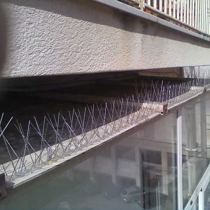 Banda antipasari cu suport din inox, AISI 302, 1 metru, 60 tepi