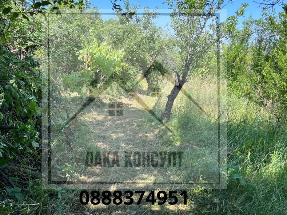 Продавам къща в с. Жедна