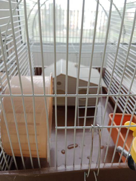 Клетки для хомяка