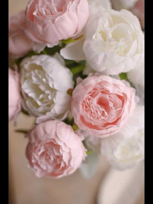 Suniy Gullar Pionalar OPTOM