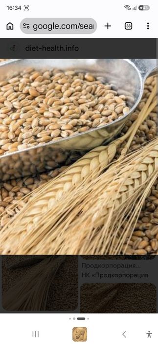 Продам отруби Соль лизунец сено
