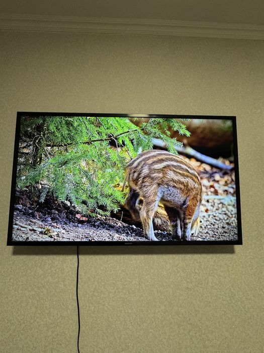 Телевизор Самуснг 43 диагональ