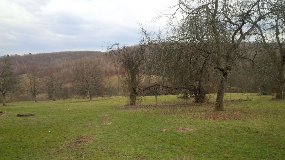 Teren intravilan în Lupesti - Arad