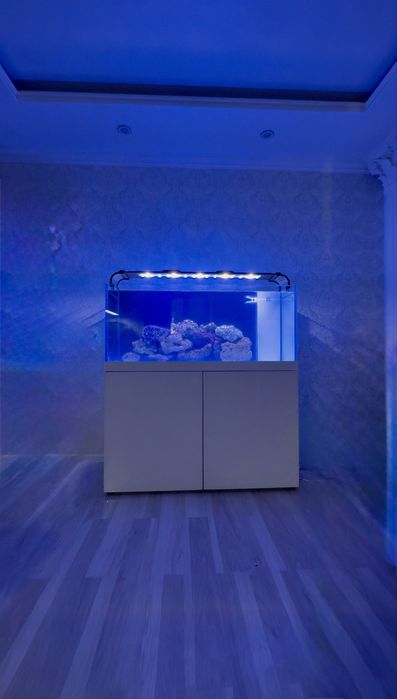 Обслуживание морских и прессных аквариумов,Чистка аквариумов