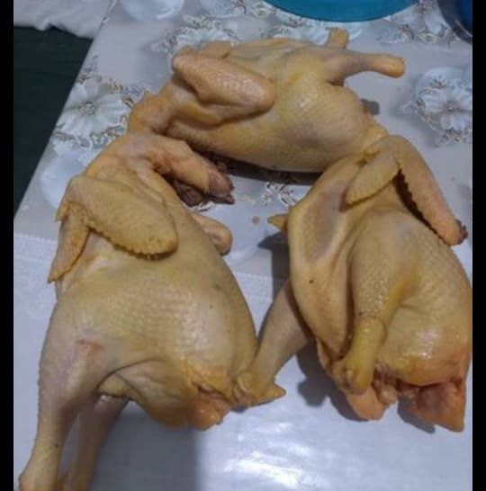 Гуси домашние резаные