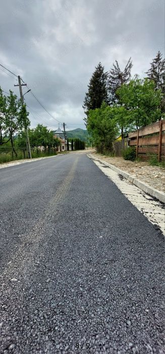 Teren 1600 mp Podu Cheii   lângă Baraj Paltinu  ideal cabane,   casă vacanță