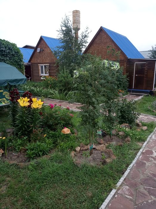 Сдам домики срубы.