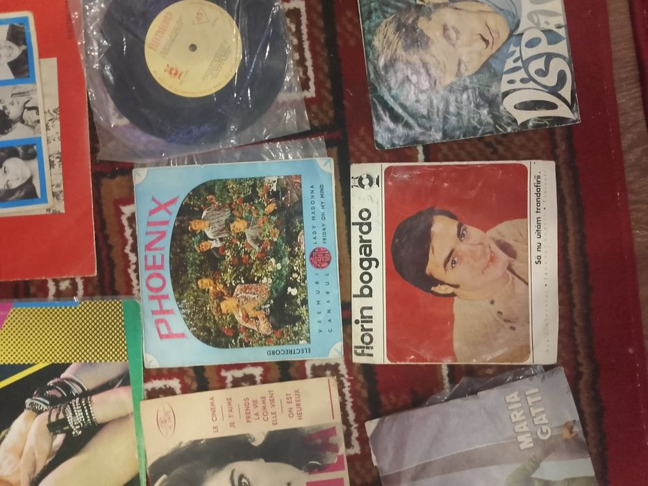 Colecție 30+ Discuri Vinil