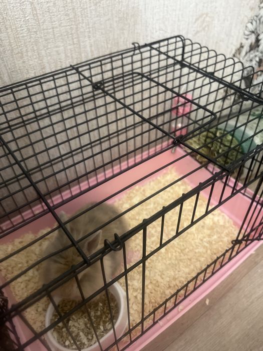 Клетка для грызунов