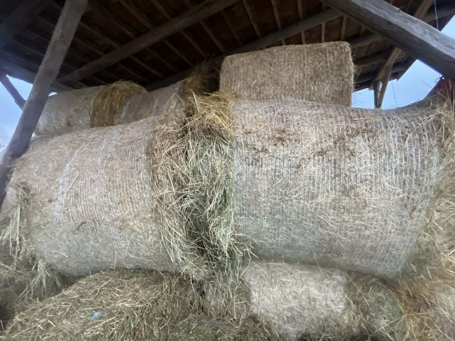 Fân/baloti rotunzi 130/130