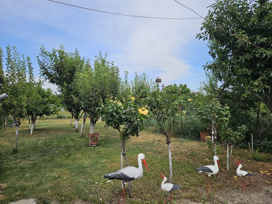 Casa locuibila complet utilata