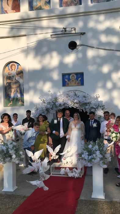Porumbei pentru evenimente