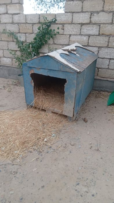 Домик для собакк