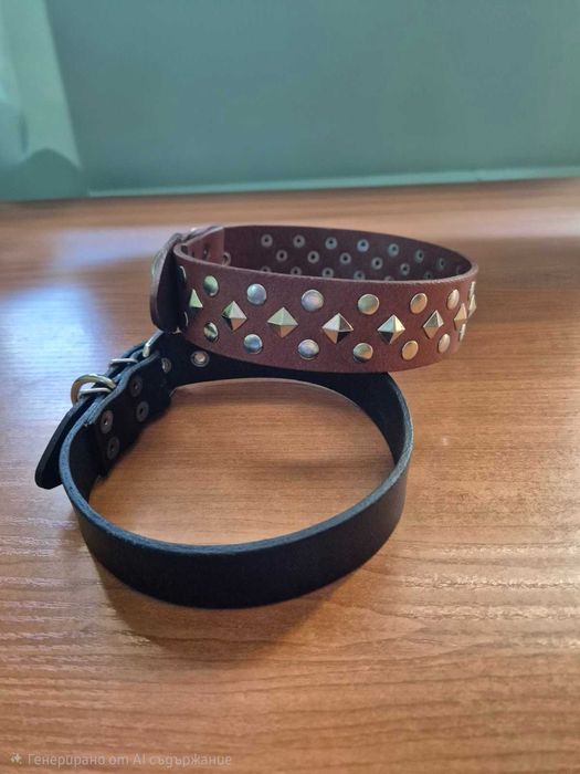 Кучешки нашийници