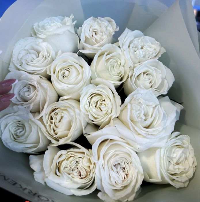 Цветы в хорошем состоянии