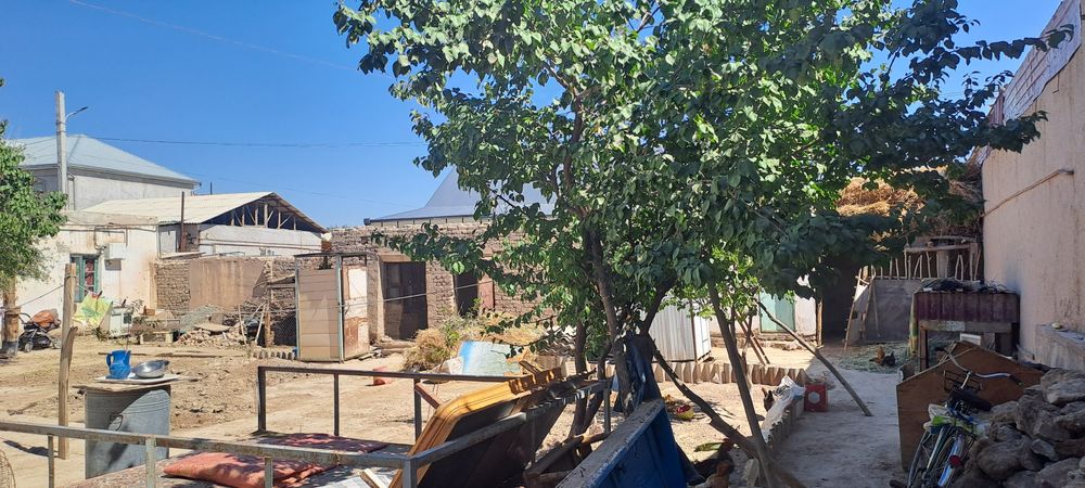 T.eshjanov 45 joldin boyi