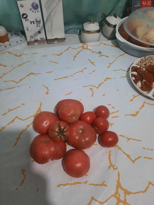 Продам Помидоры 500