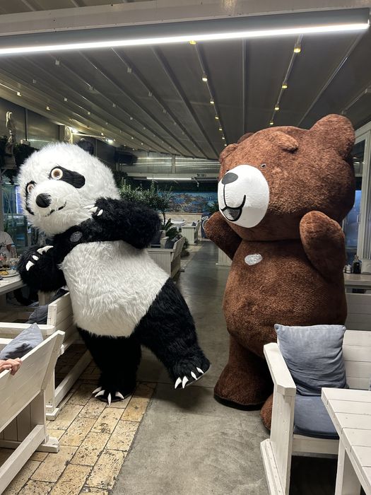 Гиганстка Мечка или Падна