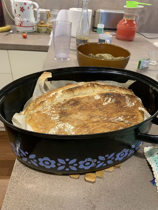 Maia activa deshidratata