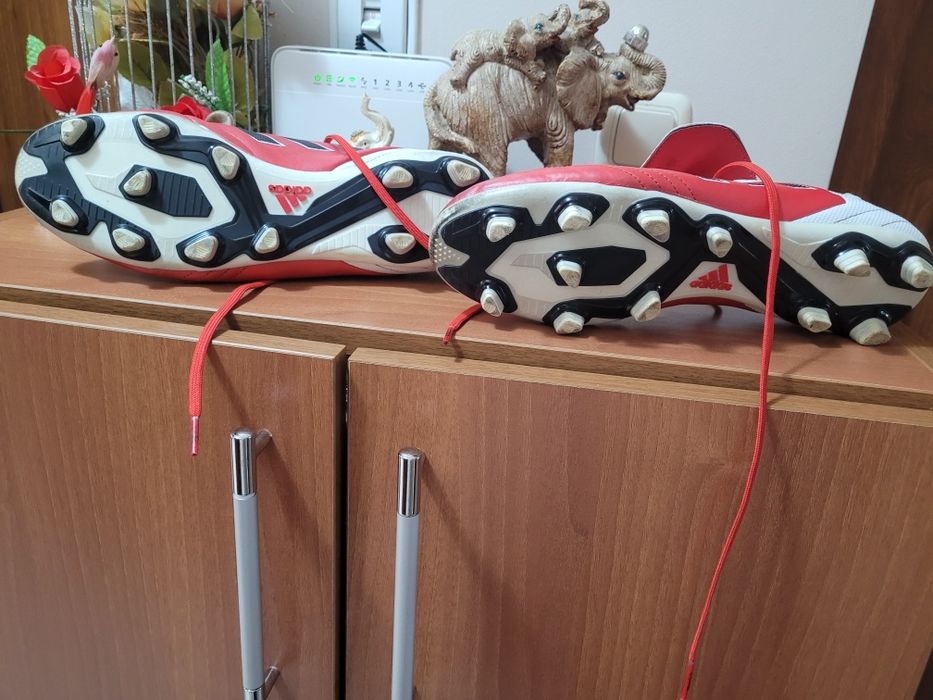 Бутонки и стоножки