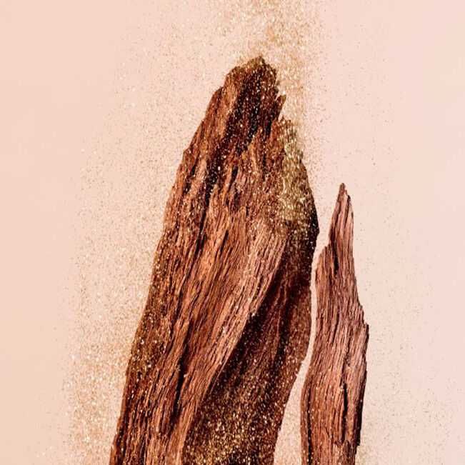 JIMMY CHOO I want oud Парфюмна вода (EDP)