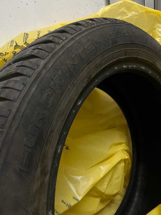 Зимни гуми FALKEN EUROWINTER HS01 SUV - 225/55/R19 99H