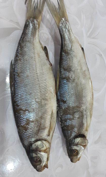 Рыба вяленая. Рыбец.