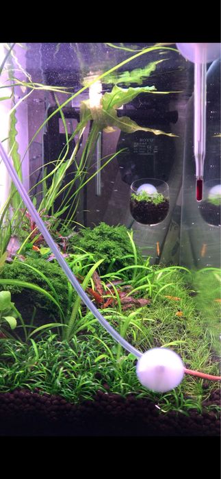 Week aqua M 400 pro