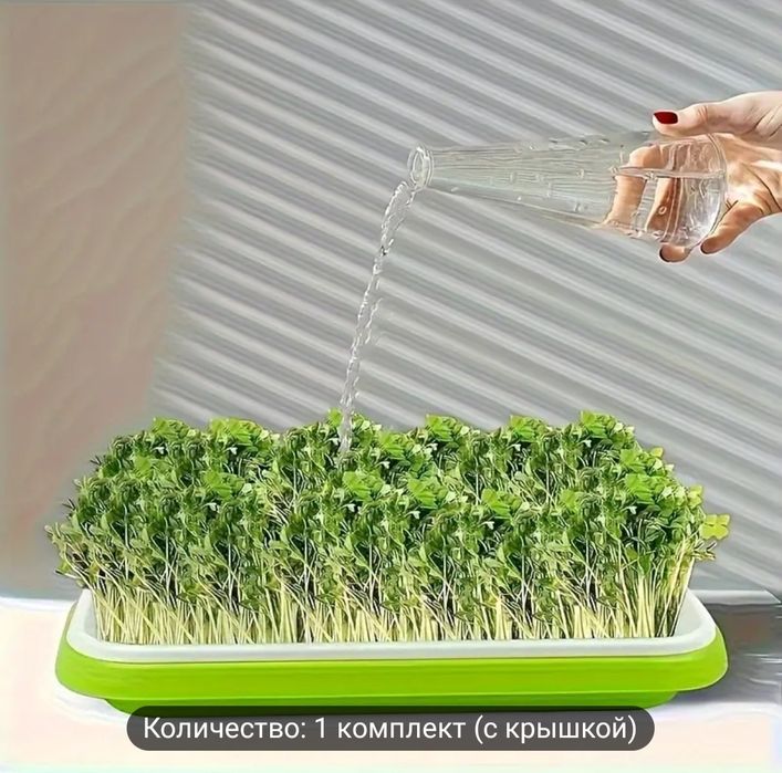 Контейнер для выращивания микрозелени