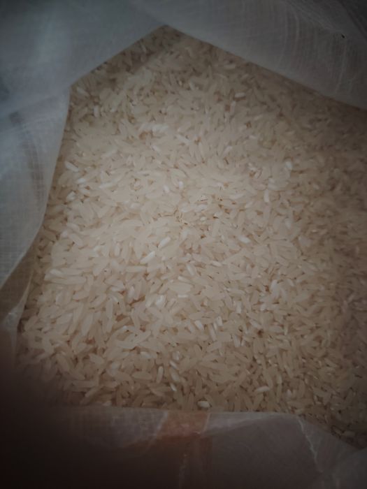 Күріш Lazer камолино