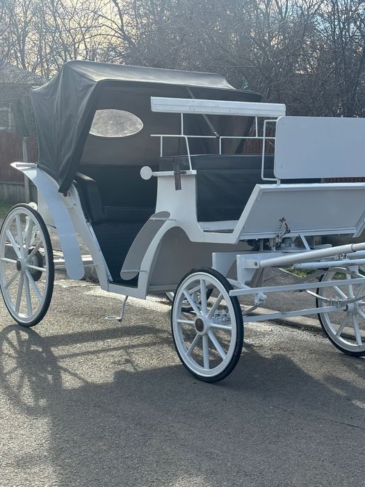 Trasura de  vanazare