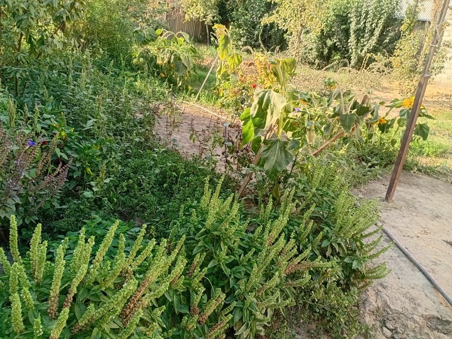 Продаётся земля,ер,участка