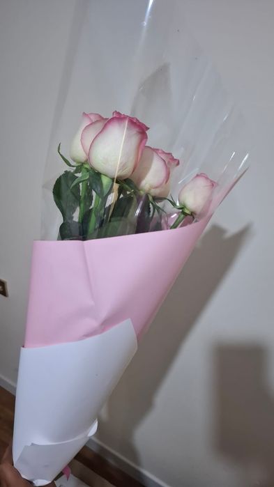 Продам цветы цены разные