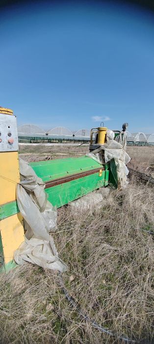 Листогиб гиометричный