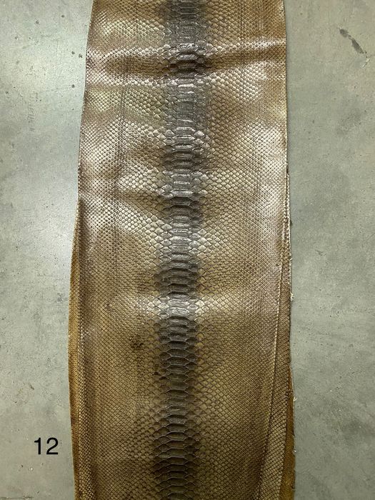 Естествена змийска кожа