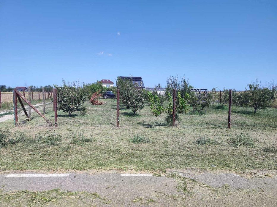 Teren intravilan 733 m², desch 22 m – str. Sportului (asfalt), Ulmi