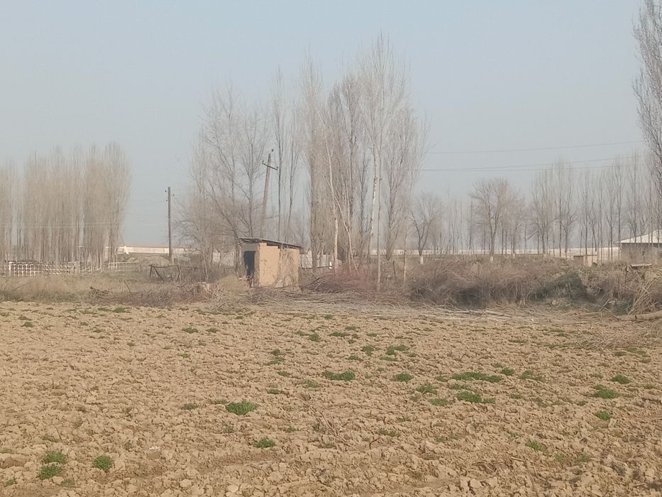 Курик йер 8 сотих сотилади