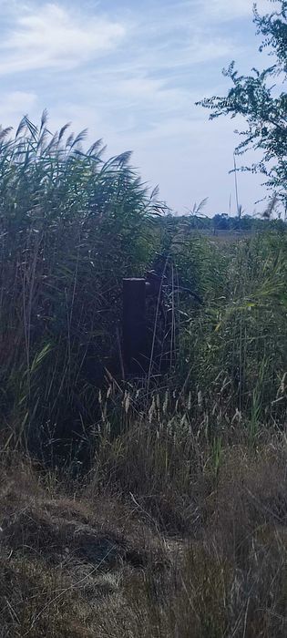 Участок 12 соток