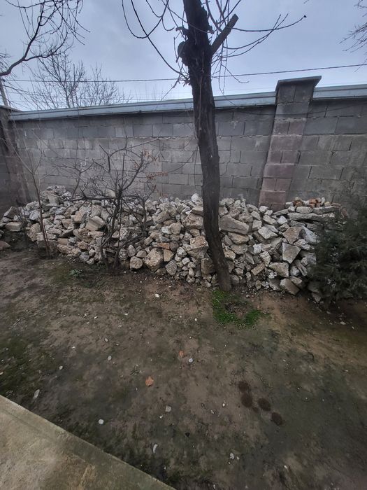 Блужник сатылады