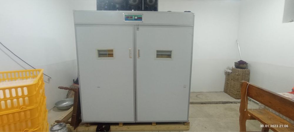 Инкубатор  5000штук