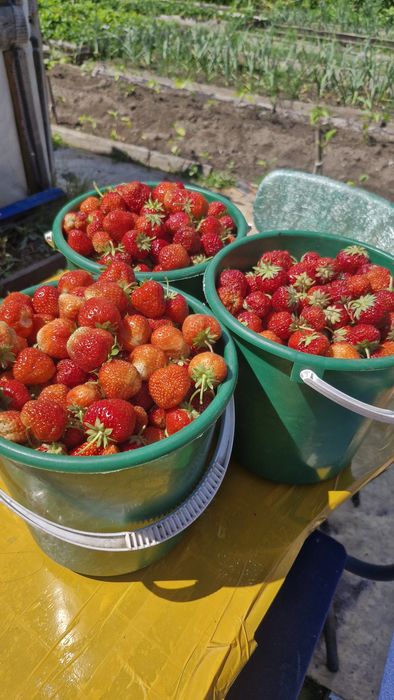 Продам дачу на Чапаево