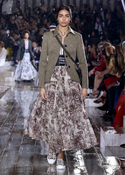 Dior знаменитый принт